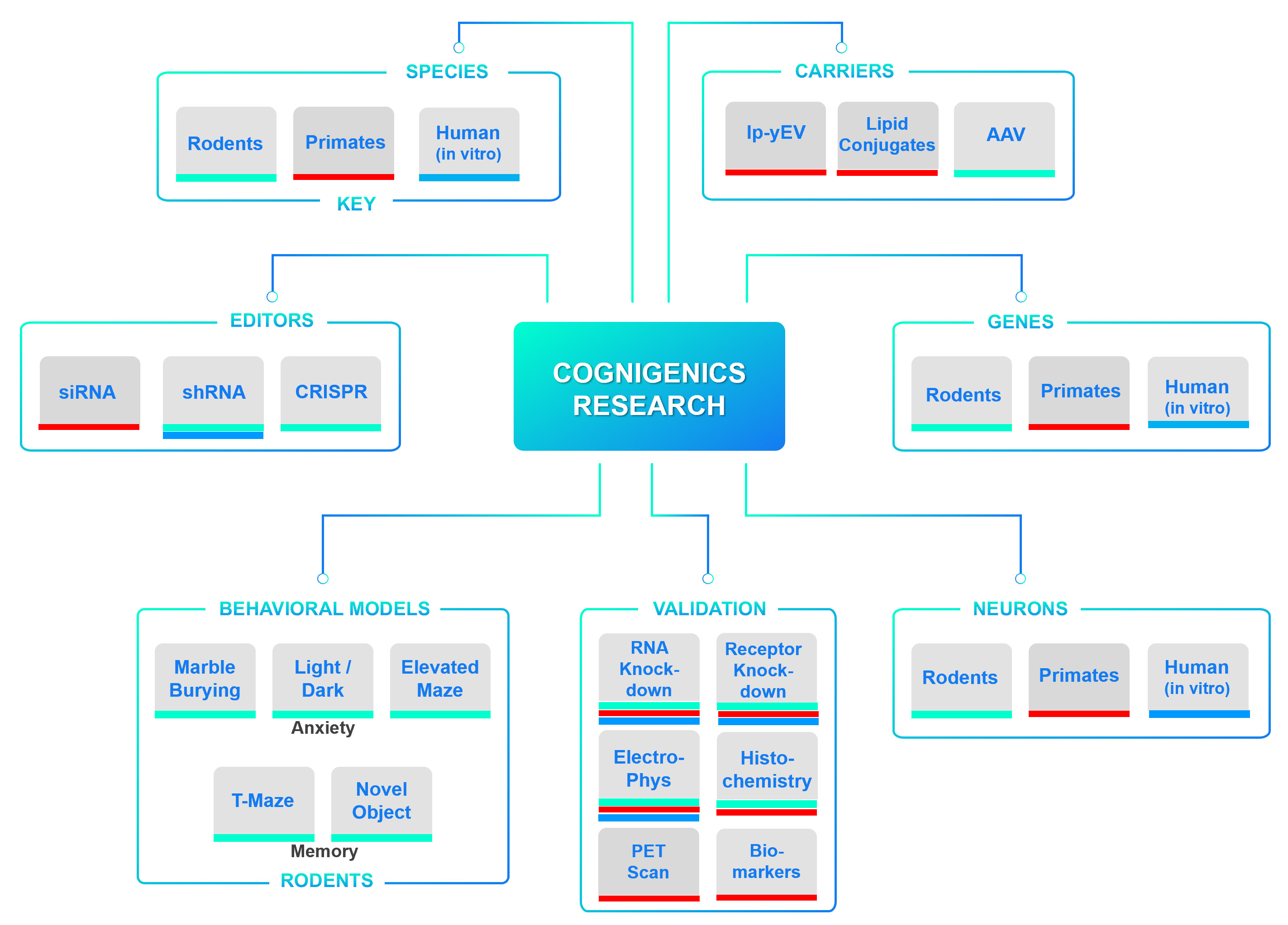 Preclinical cognitive neuroengineering experiments